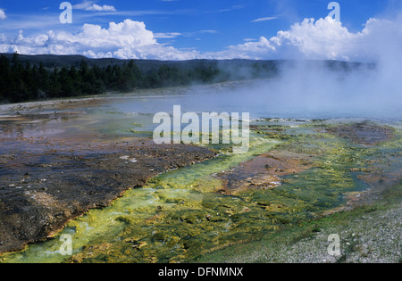 Elk265-1560 Wyoming, Yellowstone-Nationalpark, in der Mitte Becken, Excelsior Geyser Abfluss Stockfoto