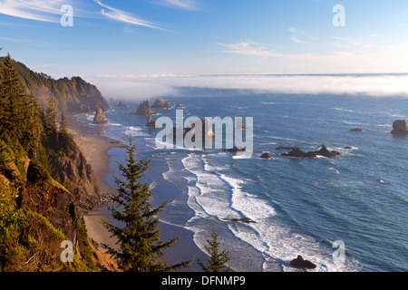 Felsnadeln, Nebel und Surf entlang der südlichen Küste von Oregon bei Samuel H. Boardman State Park Stockfoto