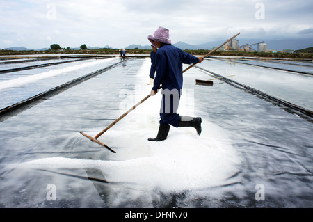 Salz Arbeiter arbeiten auf Salina, sie ernten weißen Salz in Ba Ria, Viet Nam am 4. Februar 2013 Stockfoto