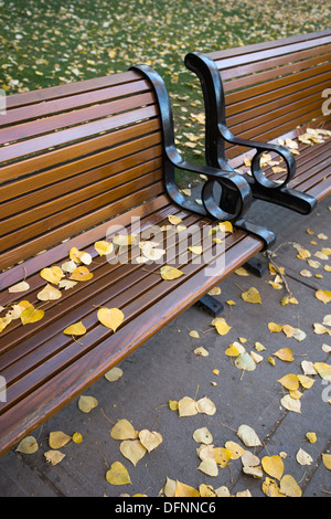 Herbstlaub auf Parkbank Stockfoto