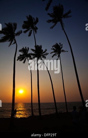 Palmen an der Küste, Anjuna Strand, Bardez, Nord-Goa, Goa, Indien Stockfoto