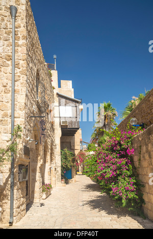 Straße in der Altstadt von Jaffa von tel Aviv israel Stockfoto