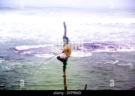 Pol oder Stelzenläufer Fischer in Mirissa-Sri Lanka fangen Fische sitzen auf einem Holzbrett genannt die Petta zu einem vertikalen Pfosten befestigt Stockfoto