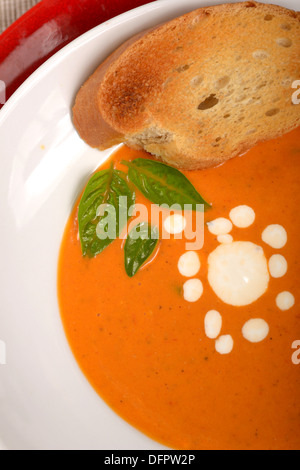 Köstliche Schüssel hausgemachte Tomatencremesuppe mit gegrilltem Brot, Basilikum und Sauerrahm Stockfoto