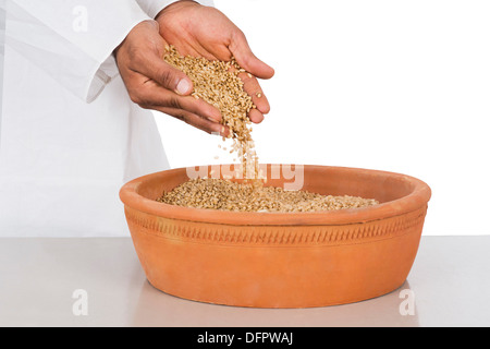 Menschliche Hand Gießen Weizen in einem Tontopf Stockfoto