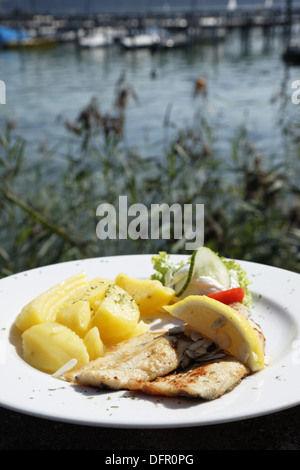 Kanu, Bodensee Stockfoto