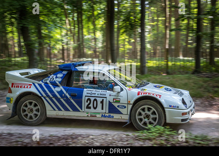 1986 Ford RS200 mit Fahrer Terry Maynard auf die 2013 Goodwood Festival of Speed, Sussex, England, UK. Stockfoto