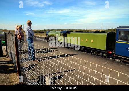 Romney Hythe Dymchurch Railway Zug bei Dungeness Kent Stockfoto