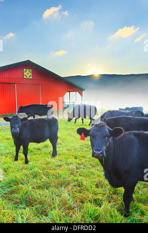 Dawn, Western Highland County, Hightown, Virginia, USA Stockfoto