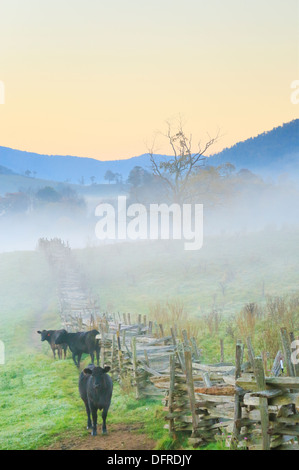 Dawn, Western Highland County, Hightown, Virginia, USA Stockfoto