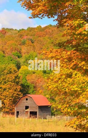 West Highland County, Hightown, Virginia, USA Stockfoto