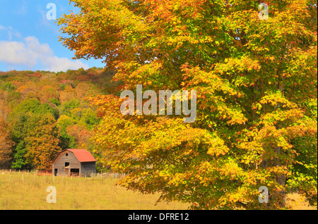 West Highland County, Hightown, Virginia, USA Stockfoto