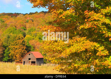 West Highland County, Hightown, Virginia, USA Stockfoto