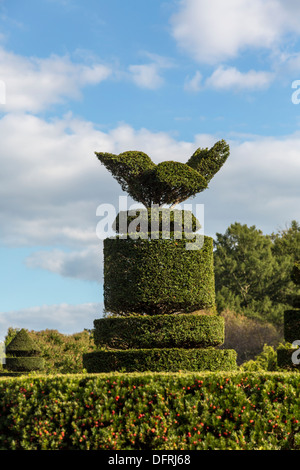 Formschnitt Vogel, Longwood Gardens, Kennett Square, Pennsylvania, USA Stockfoto