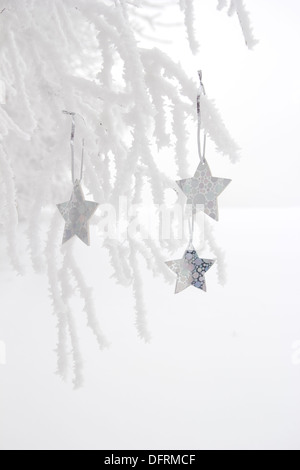 Weiße Sterne mit Weihnachtsdekoration an frostigen Zweige hängen Stockfoto