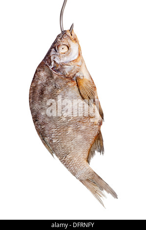 gesalzener Fisch, Bier an einen Haken gehängt Stockfoto