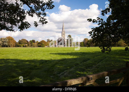 Blick auf die Kathedrale von Salisbury über Wiese Stockfoto