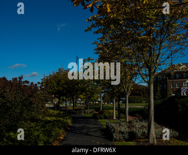 Tag im Herbst Bäume Blätter Blätter ändern Farbe Himmel Stockfoto