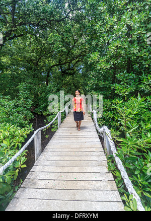 Junge Frau Spaziergänge entlang der Promenade durch Mangrovensumpf in Kosrae, Mikronesien. Stockfoto