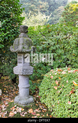 Japanische Stein Laterne im Garten mit Pflanzen und Sträuchern in Herbstsaison Stockfoto