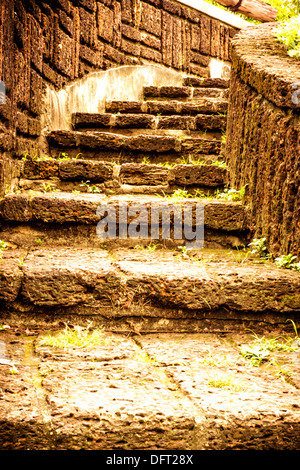 Braune Treppe aus Stein im Garten. Stockfoto