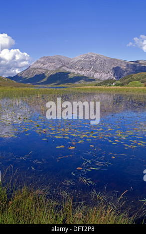 Arkle spiegelt sich in Loch Stack, Achfary, Reay Wald Estate, Sutherland, Northwest Highlands, Schottland, Vereinigtes Königreich Stockfoto