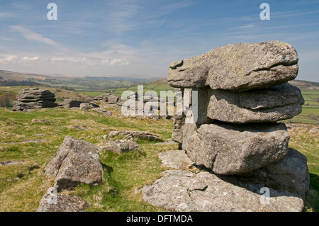 Auf Hayne Down, Dartmoor, Blick nach Norden. Stockfoto