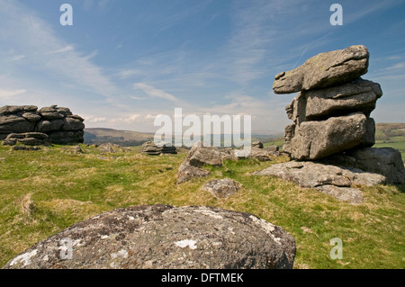 Auf Hayne Down, Dartmoor, Blick nach Norden. Stockfoto