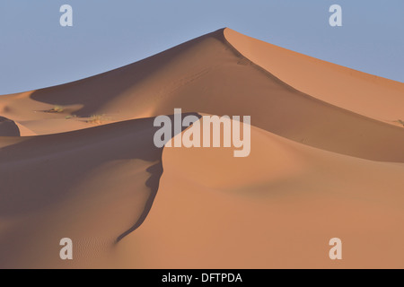 Dünen im Morgenlicht, große Sandmeer, Sahara, Region Meknès-Tafilalet, Marokko Stockfoto