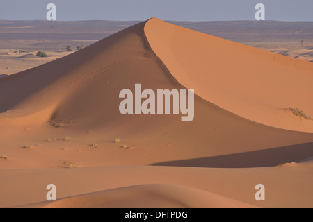 Dünen im Morgenlicht, große Sandmeer, Sahara, Region Meknès-Tafilalet, Marokko Stockfoto