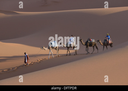 Touristen, Kamelreiten im Großraum Dünen, Sahara, Meknès-Tafilalet, Marokko Stockfoto