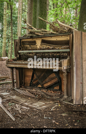 Verlassene und zerbrochene Klavier links in einem Waldgebiet. Stockfoto