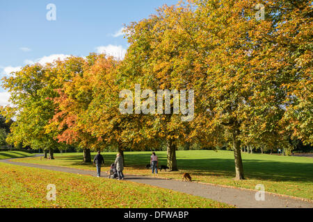 Ropner Park, Stockton on Tees, England, Vereinigtes Königreich. 9. Oktober 2013. Menschen, die genießen Herbst Farben an einem kühlen, hellen und luftigen Morgen im Ropner Park, Stockton on Tees.  Kalte Nordwinden dürften für den Rest der Woche Credit: ALANDAWSONPHOTOGRAPHY/Alamy Live News Stockfoto