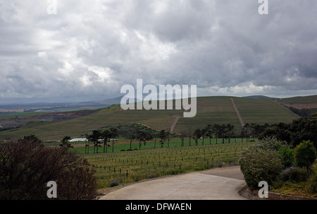 Die Aussicht von Durbanville Hills Wein-Bauernhof in den Cape Winelands an einem winterlichen Tag. Stockfoto