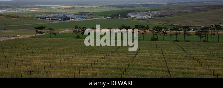 Die Aussicht von Durbanville Hills Wein Bauernhof mit Steinbruch in der Ferne. . Stockfoto