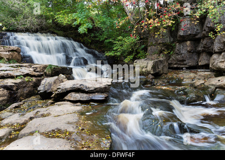 Osten Gill fällt im Herbst Swaledale Yorkshire Dales UK Stockfoto