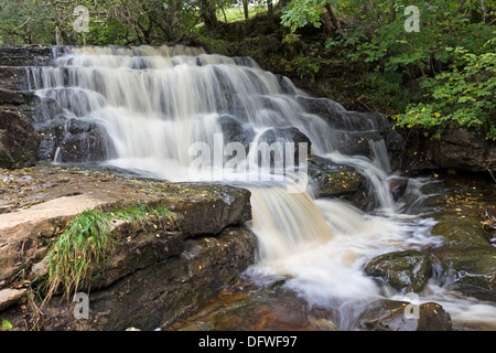 Osten Gill im Herbst Swaledale Yorkshire Dales UK Stockfoto