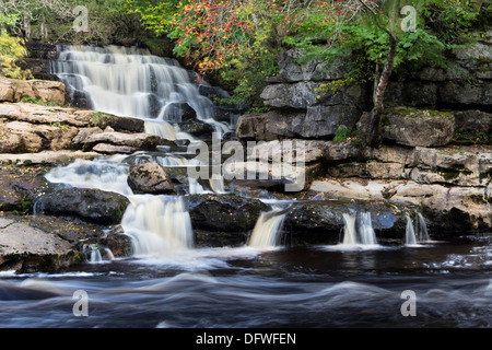 Osten Gill Lower Falls treffen die Fluß Senke im Herbst Yorkshire Dales UK Stockfoto