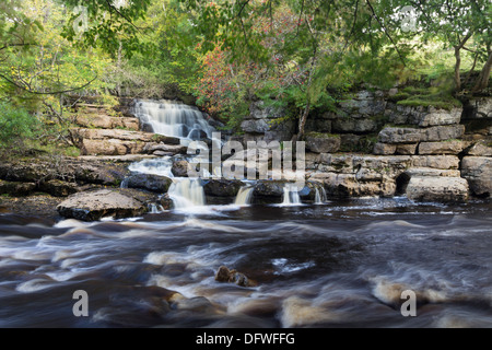 Osten Gill Lower Falls treffen die Fluß Senke im Herbst, Keld Swaledale Yorkshire Dales UK Stockfoto