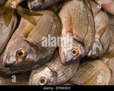 Portugal, Algarve, Loulé Fischmarkt, Haufen von Fisch auf Abschaltdruck Nahaufnahme Detail Stockfoto