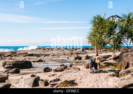 Woody-Kopf, Bundjalung National Park, NSW, Australien Stockfoto