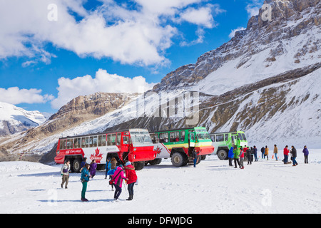 Brewsters Snocoach Ice Explorer Columbia Icefield Athabasca Gletscher im Jasper Nationalpark Alberta Kanada Nordamerika Stockfoto