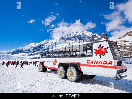 Brewsters Snocoach Ice Explorer Columbia Icefield Athabasca Gletscher im Jasper Nationalpark Alberta Kanada Nordamerika Stockfoto