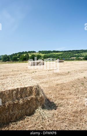 Strohballen auf einem Feld an der Unterseite der Box Hill, Surrey Stockfoto