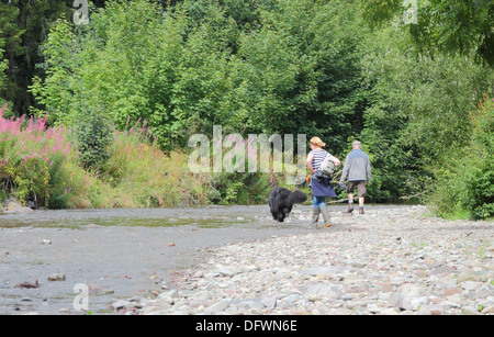 Kaukasischen Paare, die ihren Hund Annan Wasser, Annandale, Dumfries & Galloway, Schottland, UK Stockfoto