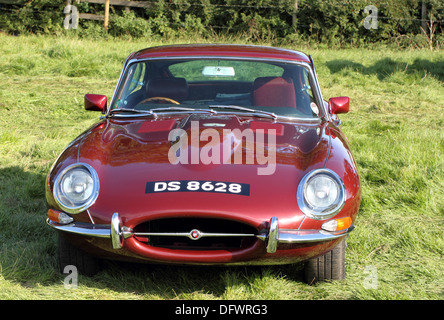 Jaguar E-Type 4.2 Stockfoto