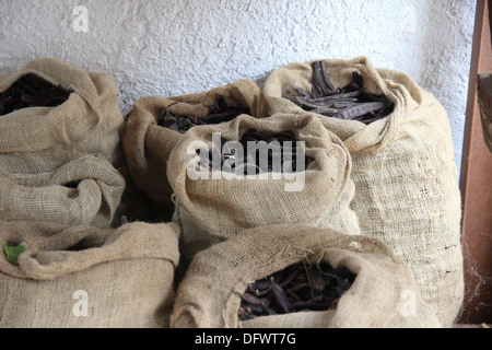Getrocknete Johannisbrot in großen Säcken in der Speisekammer Stockfoto