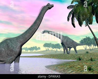 Zwei Brachiosaurus Dinosaurier in Landschaft mit Wasser und Palmen. Stockfoto
