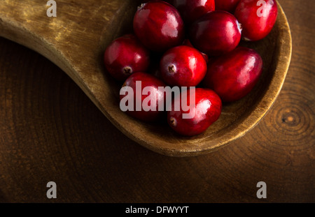 Closeup oder Makro von Preiselbeeren in Holzlöffel Stockfoto