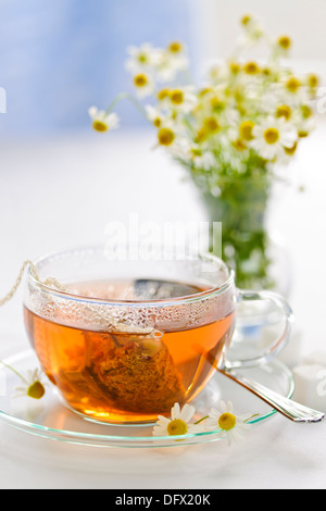 Glas Teetasse mit wohltuenden Kräutertee in Seidenbeutel Stockfoto